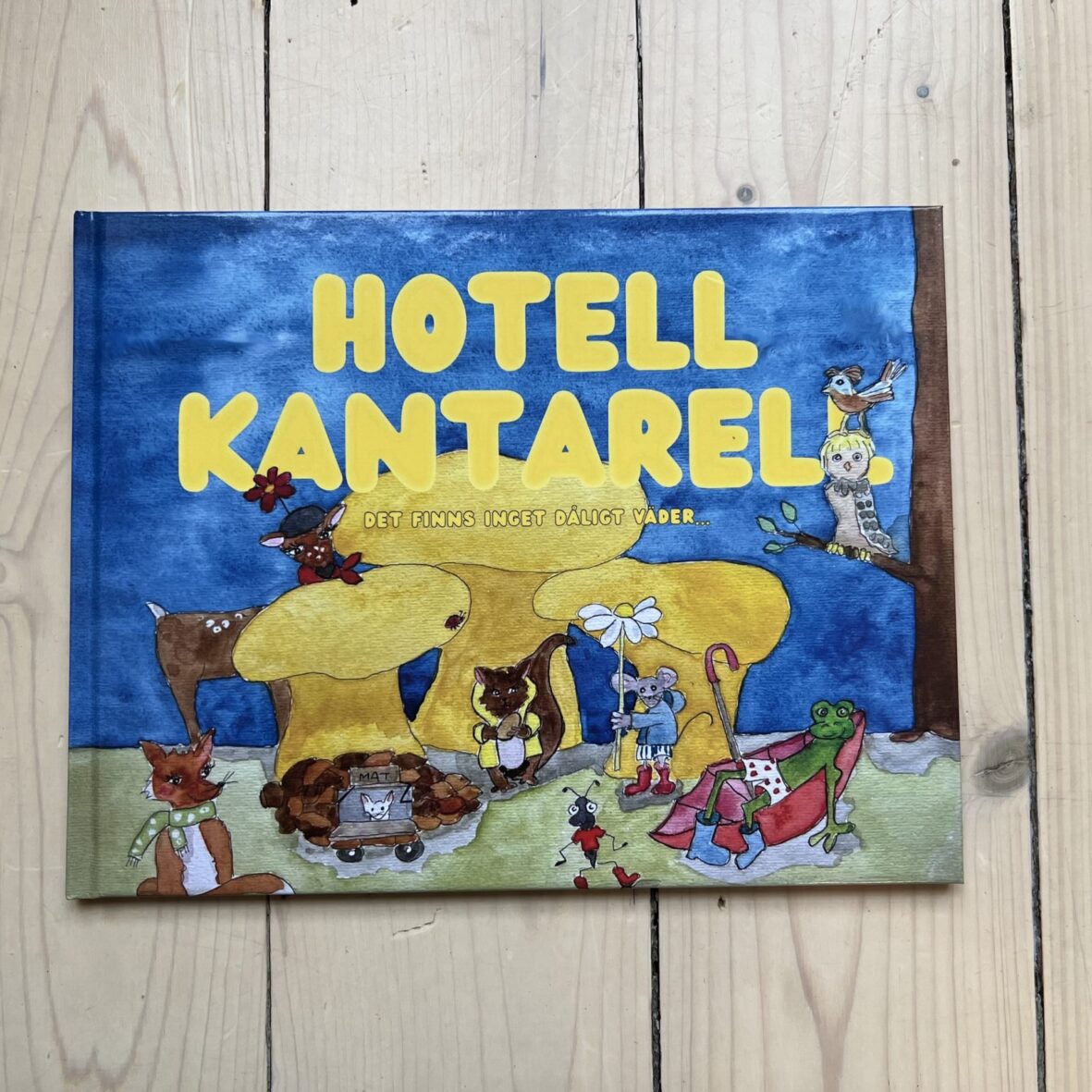 Hotell Kantarell - Det finns inget dåligt väder...